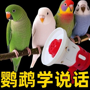 鹦鹉教学说话器和尚虎皮鸟用训练复读录音机玄凤吹口哨训练器用品