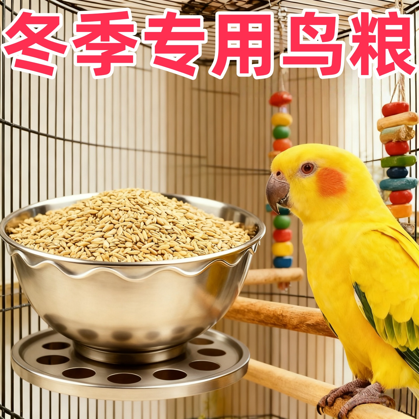 鹦鹉过冬鸟粮加纳利子膘肥体壮