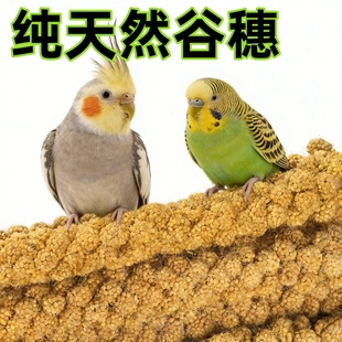 鹦鹉磨牙棒天然谷穗鸟零食谷物磨喙营养均衡训练奖励鸟粮用品大全