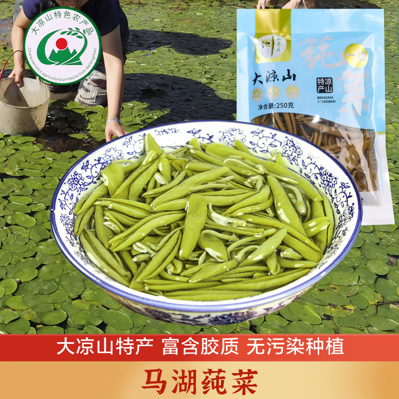 大凉山土特产雷波县马湖莼菜新鲜嫩芽纯菜马蹄菜餐饮水生野菜煮汤
