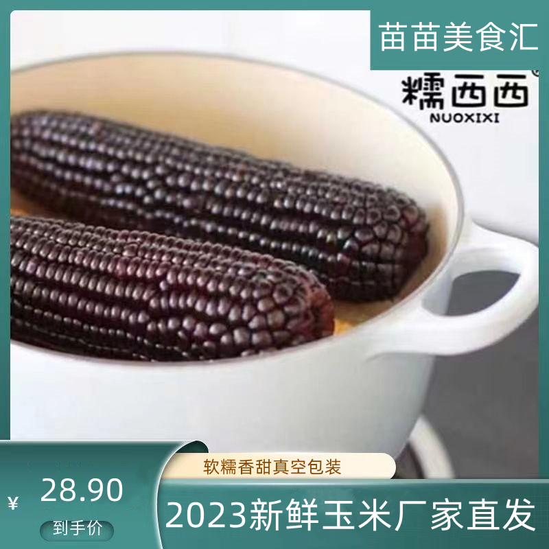 糯西西黑糯玉米220g*8根2024年新鲜青穗黑糯玉米山西忻州黏玉米