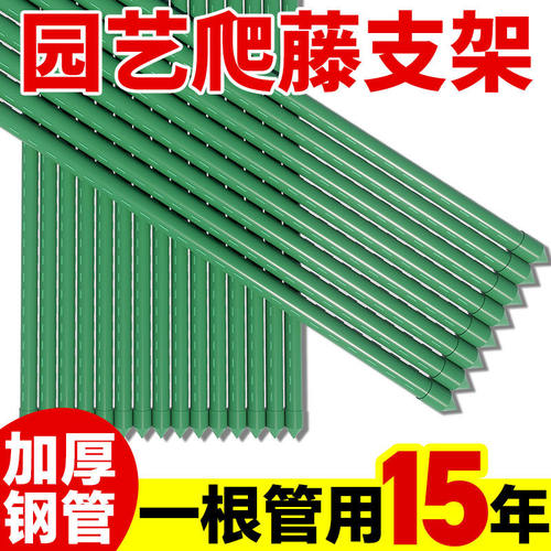 爬藤架葡萄黄瓜豆角架植物支撑杆种菜花支架园艺户外庭院西红柿架