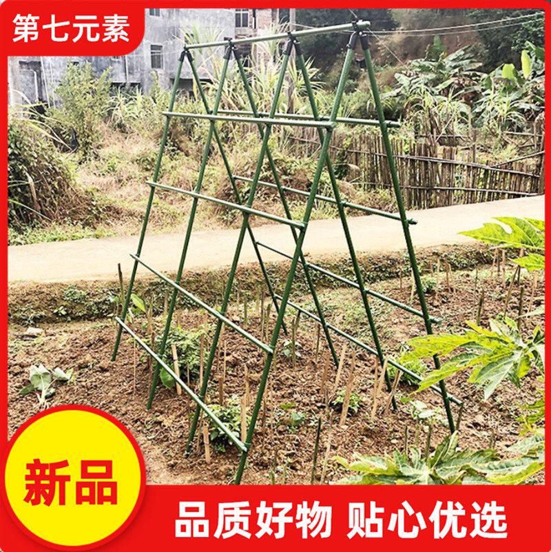 花支柱豆角黄瓜支架藤蔓植物牵引架园艺支柱蔬菜架子包塑钢管爬藤 码即惠
