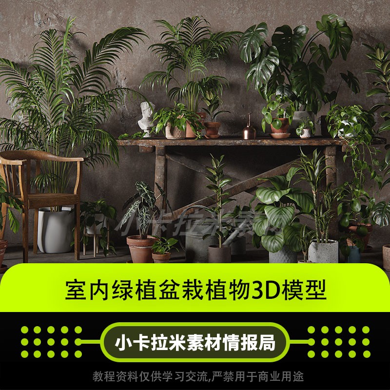室内绿植盆栽植物3D模型3DS MAX/OBJ格式 UE4 unity3d