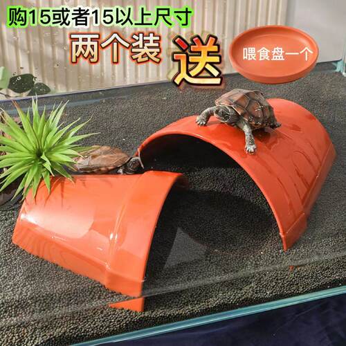 乌龟躲避屋爬宠躲避屋