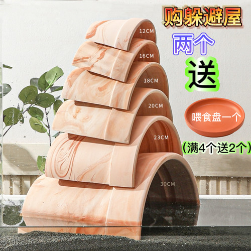 乌龟躲避屋乌龟躲避爬宠