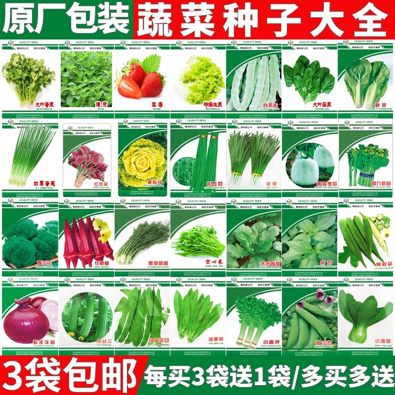 蔬菜种子四季播盆栽阳台庭院香菜生菜菠菜萝卜葱简单易种籽孑大全