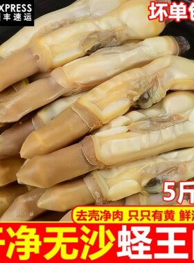 5斤现剥冷冻野生蛏子王顺丰