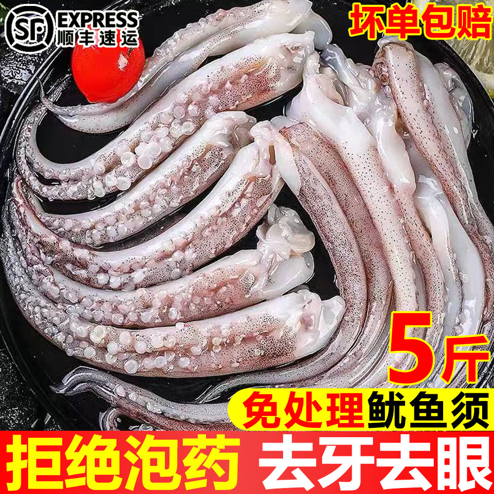 新鲜冷冻二本足鱿鱼须商用顺丰