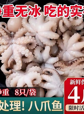 八爪鱼新鲜小章鱼海鲜水产鲜活小八爪鱼冷冻超大迷你爆头章鱼海鲜