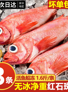 红石斑鱼鲜活冷冻大红鱼多宝鱼深海黄花鱼速冻金鲳鱼鲈鱼海鲜水产