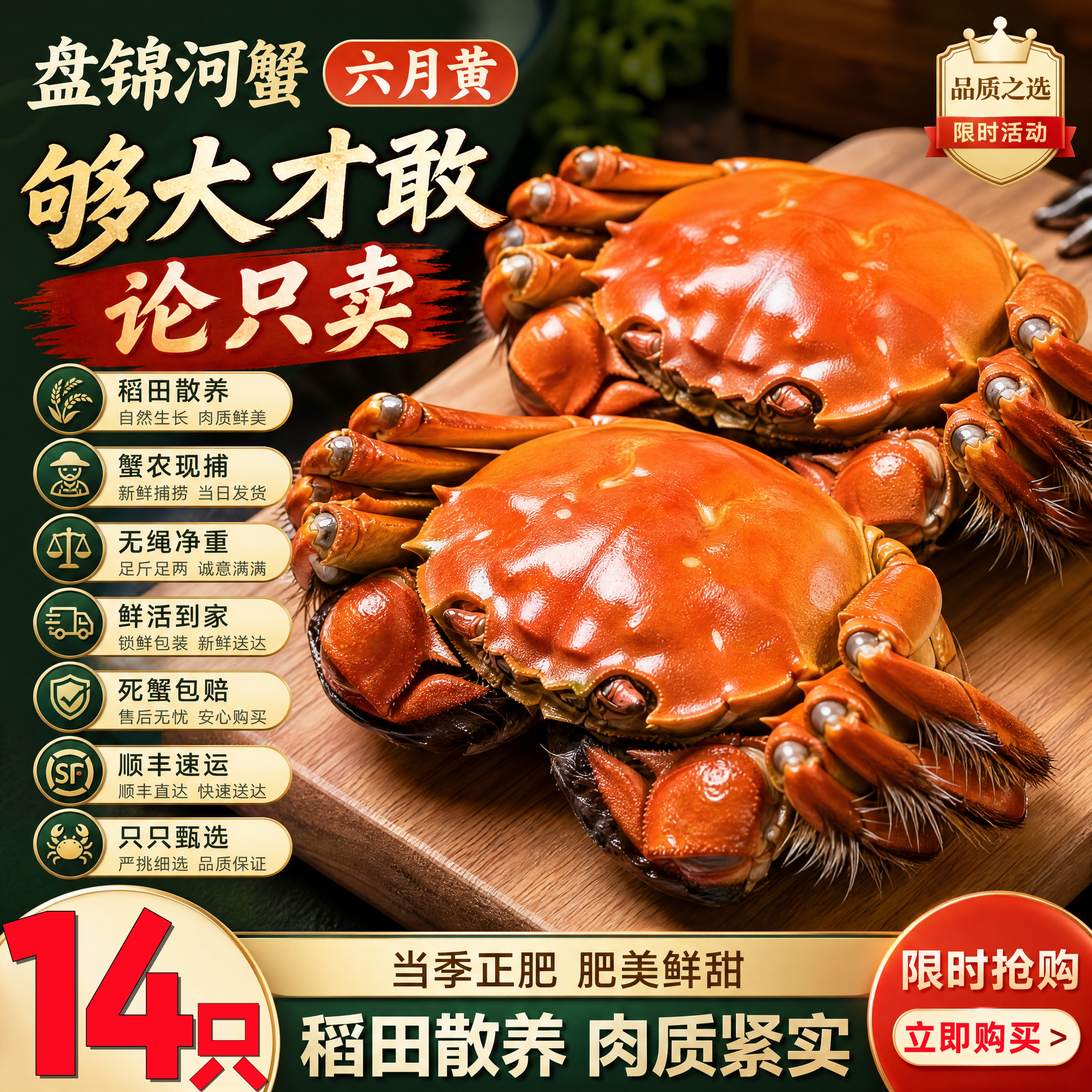 【活蟹】3斤鲜活螃蟹盘锦河蟹六月黄公蟹特大蟹湖蟹送礼含绳河蟹
