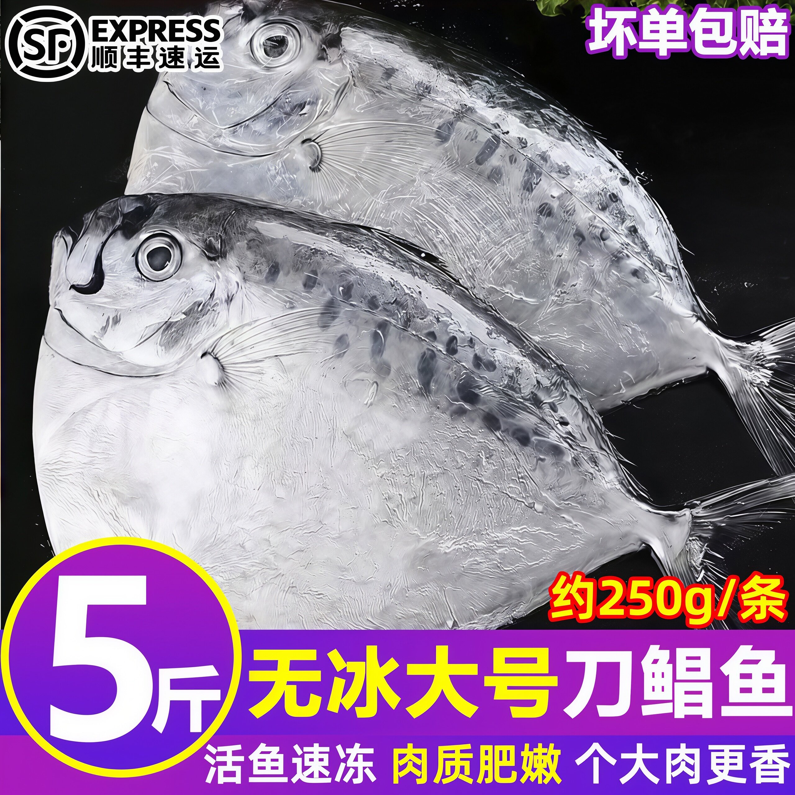 野生刀鲳鱼新鲜冷冻5斤约9条