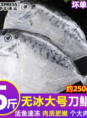 野生刀鲳鱼新鲜冷冻5斤约9条