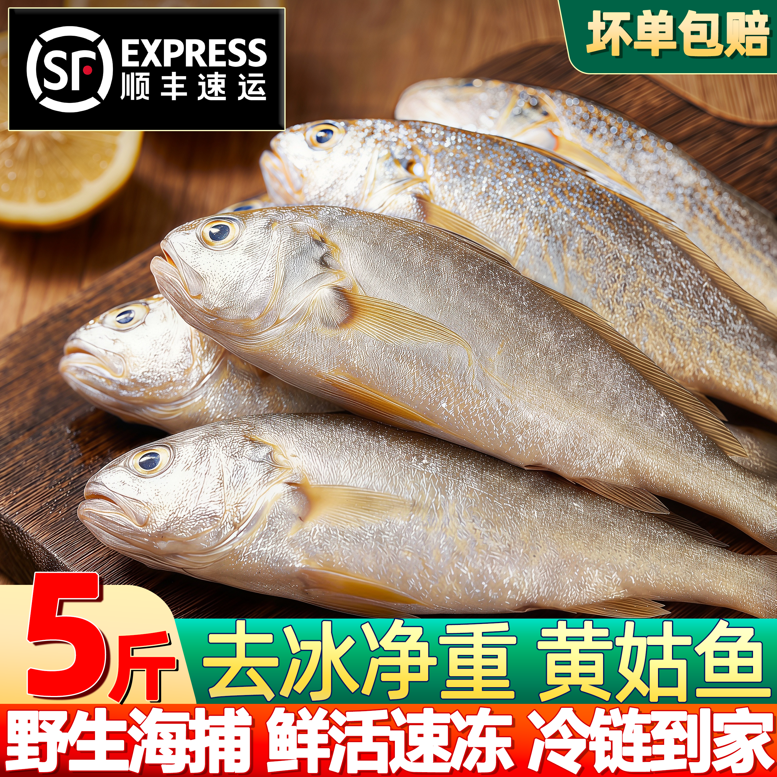 黄姑鱼冷冻春子鱼大号商用顺丰
