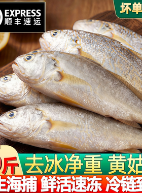 黄姑鱼冷冻春子鱼大号商用顺丰