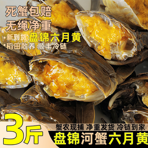 盘锦河蟹鲜活蟹溜达蟹公蟹河蟹去绳净重大闸蟹北方稻田蟹礼盒团购