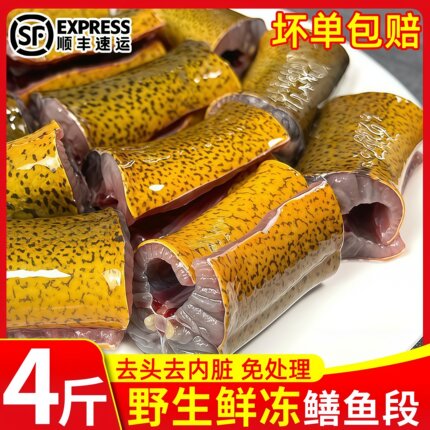 鳝鱼段新鲜去头去脏鲜活现杀原生态鳝鱼片段炖骨煲汤鳝段商用顺丰