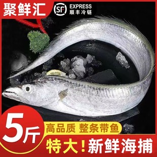 带鱼新鲜冷冻特大级整条刀鱼小眼油带鱼深海海鱼鲜活带鱼海鲜5斤