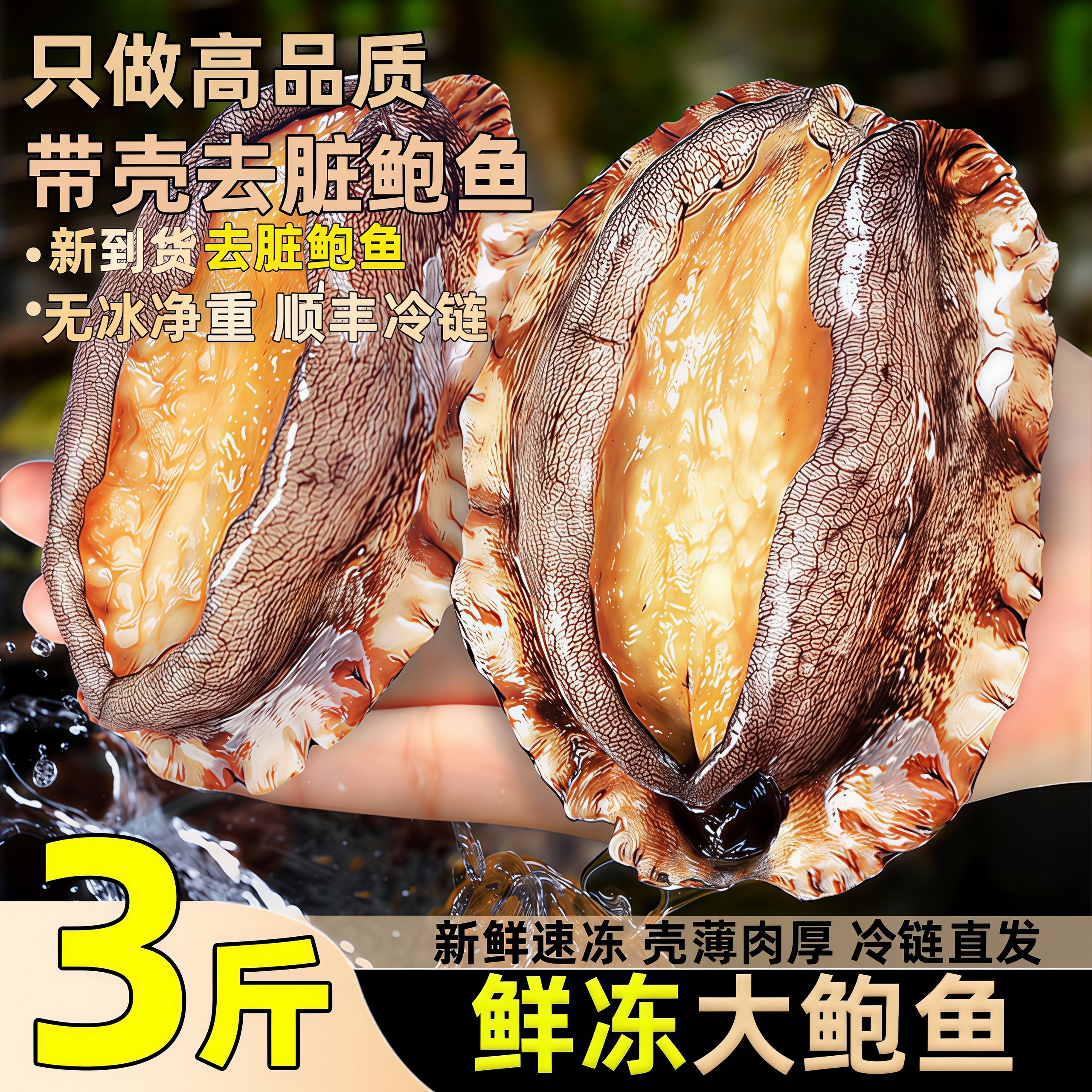 大鲍鱼鲜活速冻去壳去内脏鲍鱼肉