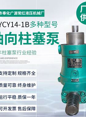 16/25ycy14-1B 轴向柱塞泵 高压油泵虎力柱塞泵增压泵