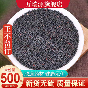 中药材 生王不留子 王不留籽 耳豆籽 耳贴籽 王不留行籽500克包邮