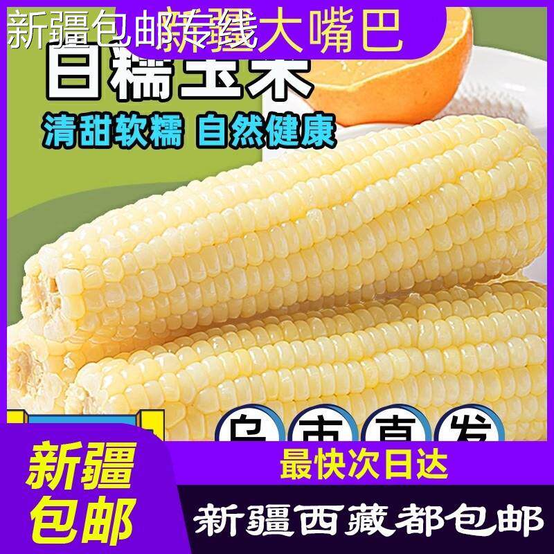 ￥新疆包邮西藏*天白糯玉米真空新鲜代餐黏玉米玉米非转基因蒸