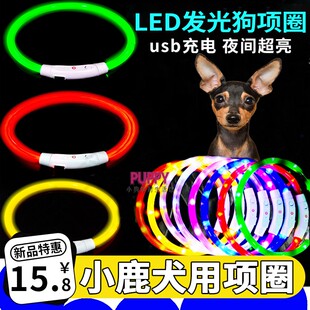小鹿犬夜光项圈狗狗脖圈发光小狗夜间发光项圈夜间防走失夜行灯