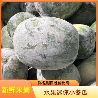 开封新鲜迷你水果冬瓜