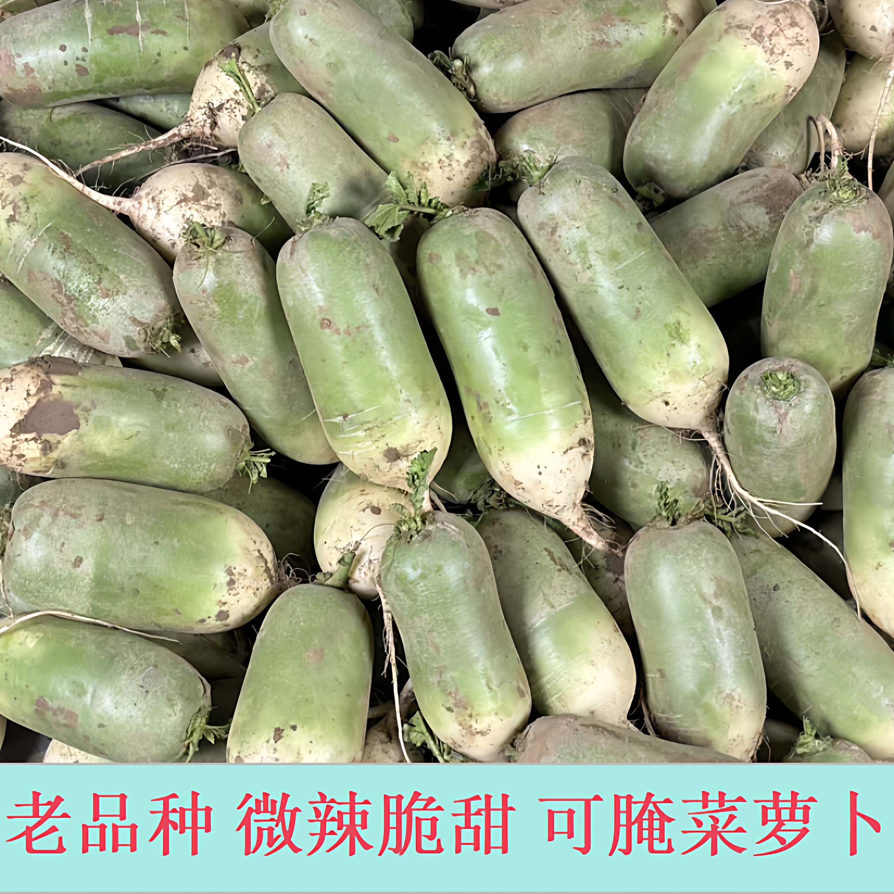 河南青萝卜新鲜萝卜辣萝卜白萝卜小萝卜头非水果萝卜应季蔬菜萝卜,水产肉类/新鲜蔬果/熟食,萝卜/胡萝卜,淘宝优惠券,粉丝福利购,淘宝优惠卷