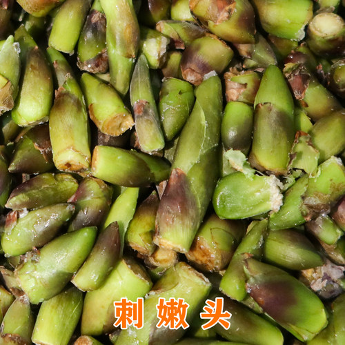 甘肃山野菜刺嫩头乌龙头刺老芽速冻乌龙头260克/袋