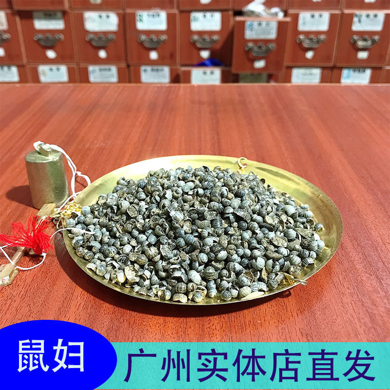 鼠妇50g克正品鼠妇虫别名团子虫地虱婆地虱子西瓜虫潮虫子广州发h