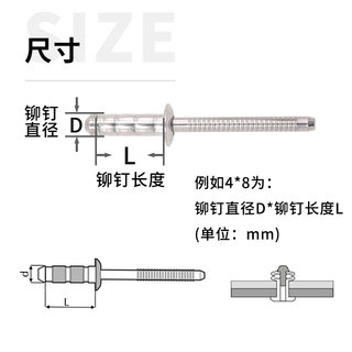 双鼓铆钉304不锈钢鼓型抽芯铆钉沉头圆头双股柳钉多鼓拉钉拉铆钉