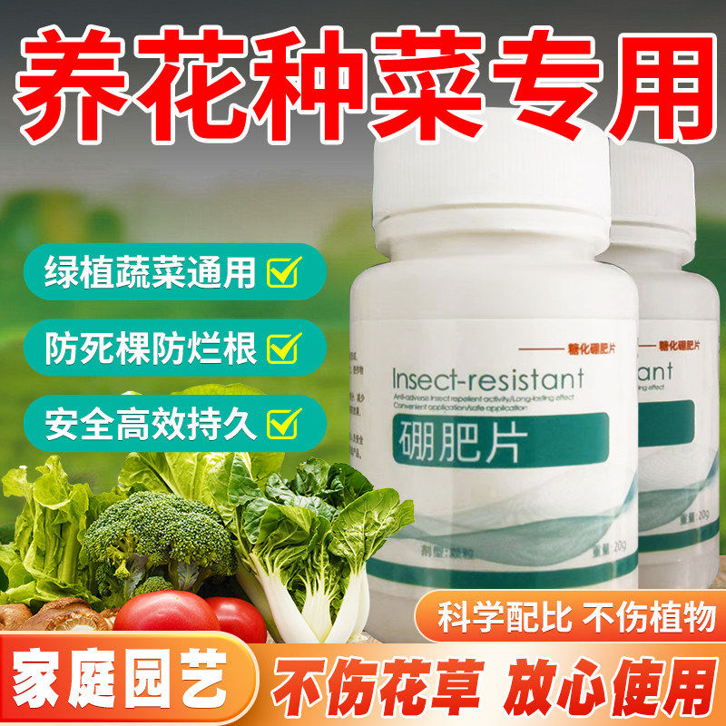 家庭园艺硼肥片小白药植物杀虫剂花卉蔬菜通用驱虫糖化硼肥片