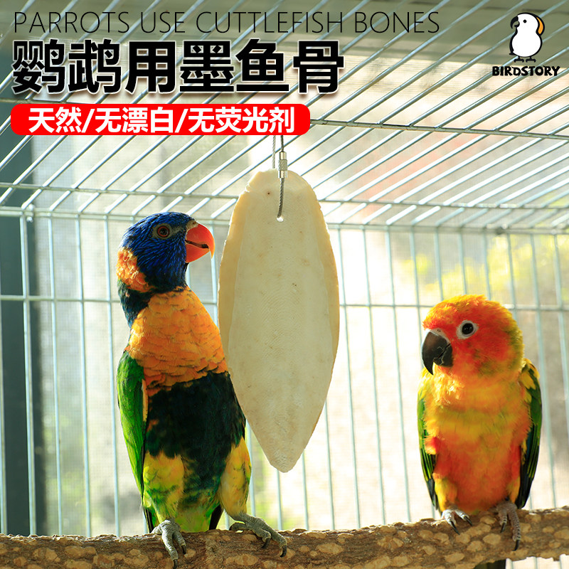 鹦鹉专用墨鱼骨牡丹虎皮鸟用磨嘴磨牙棒啃咬互动玩具零食用品大全,宠物/宠物食品及用品,鸟玩具,淘宝优惠券,粉丝福利购,淘宝优惠卷