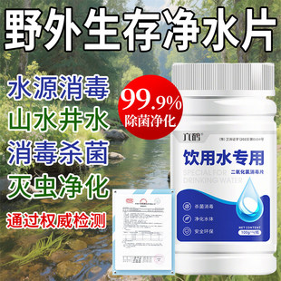 饮用水净水片官方旗舰店野外生存户外消毒独立包装长保质期食品级