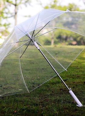 insDIY手绘自动大号结实雨伞透明长柄高颜值拍照超轻网红女伞