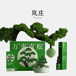 万事青松 香薰晶石礼盒扩香石摆件家用生日礼物送男友小众高级