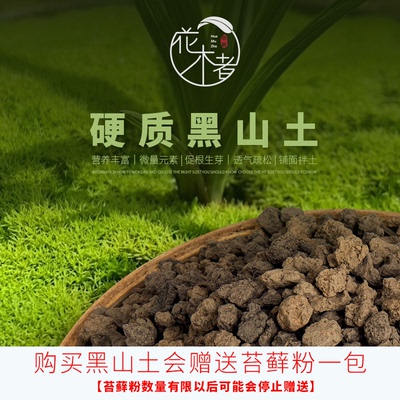 新客减黑山土铺面苔藓专用土各类兰花适用保湿硬质颗粒盆景土营养