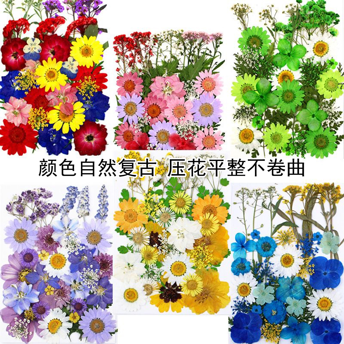 干树叶押花材料包家居装饰道具