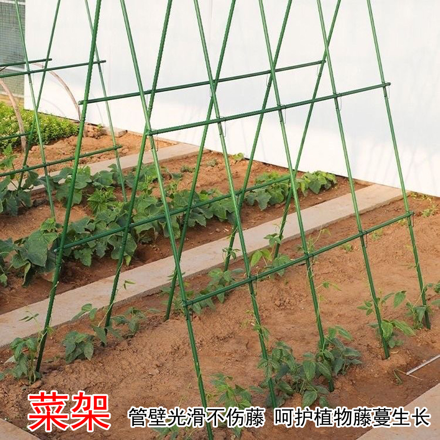 庭院造景包塑钢管爬藤架防锈耐用月季花卉黄瓜藤蔓植物搭架支撑杆