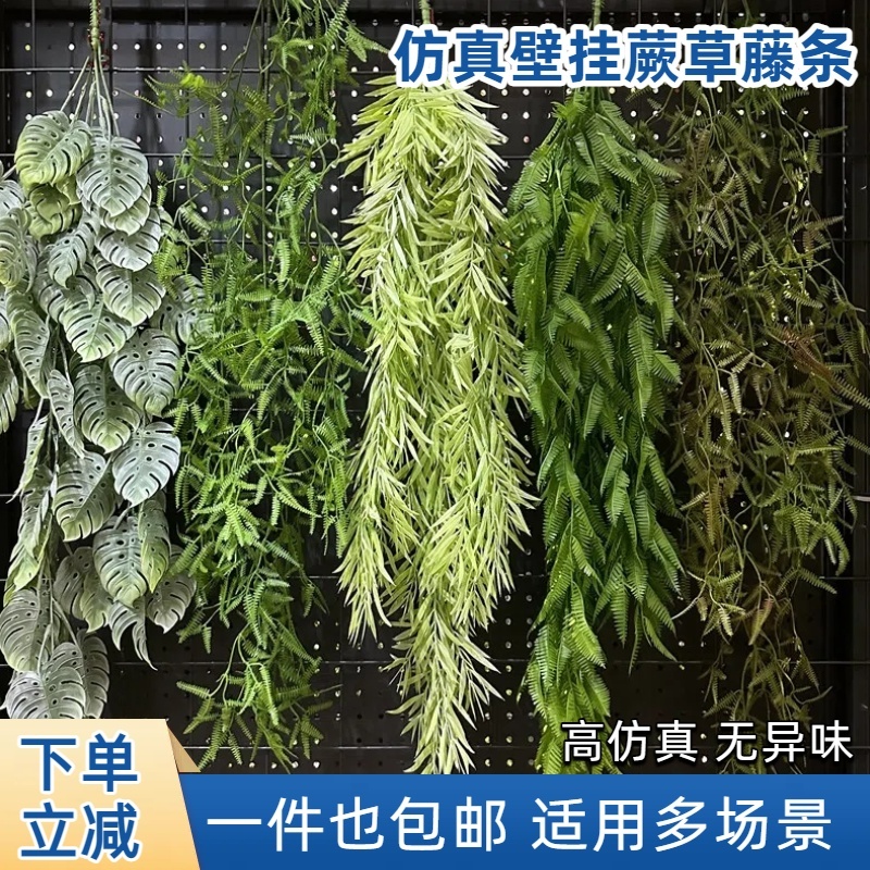 仿真绿植壁挂波斯草蕨类草吊顶墙挂吊兰花绿色植物藤条垂吊装饰