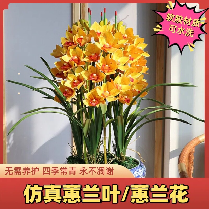 新单支蕙兰叶子仿真叶蝴蝶兰假叶长绿叶插花配叶兰花叶草长枝剑叶
