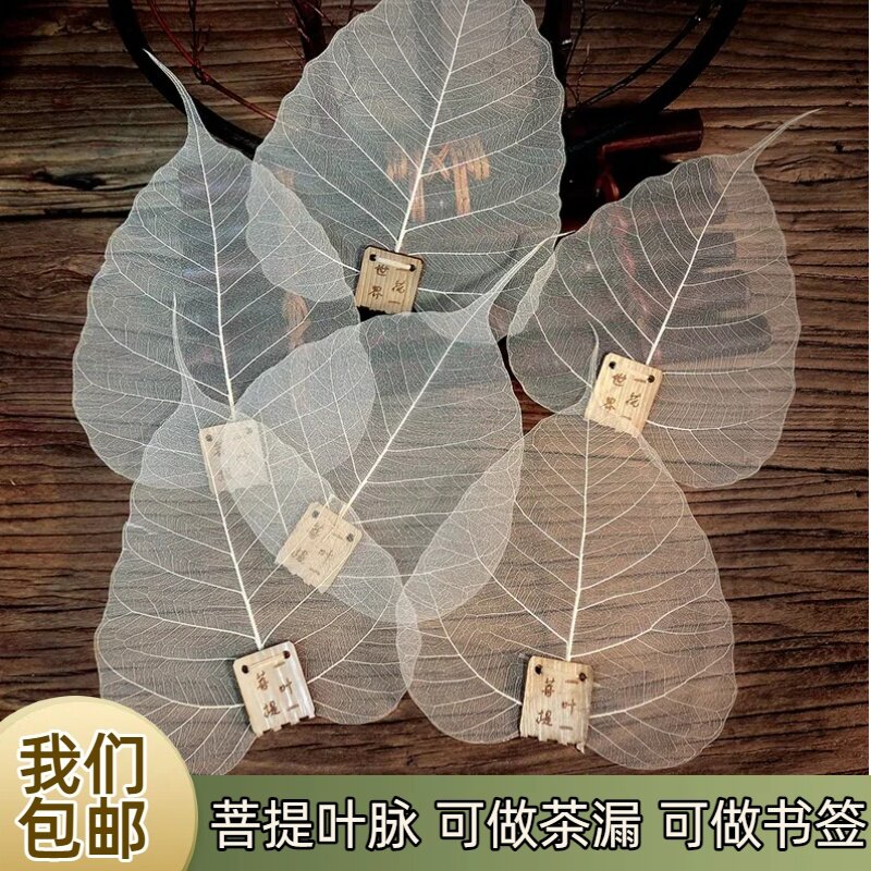 天然菩提叶树叶脉茶滤茶漏网过滤器创意个性茶道零配网红书签