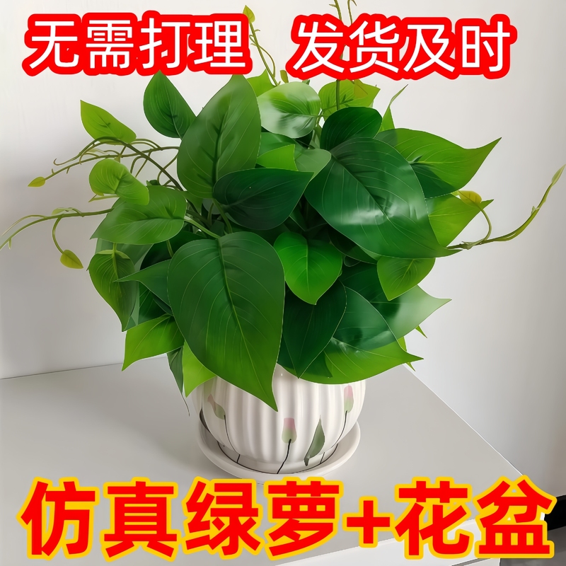 仿真绿萝套装室内仿生绿植造景客厅装饰办公室桌面小盆栽植物摆设