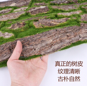 天猫优选：仿真植物美化绿叶树皮