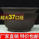 超大口径紫砂花盆特价 清仓绿植多肉兰花盆37cm以上种菜特大陶瓷盆