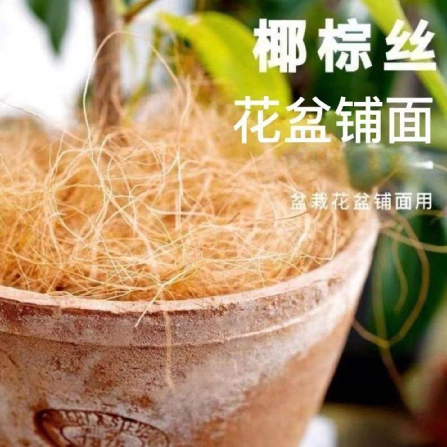 海南棕丝椰丝铺面土干净无杂质花卉盆栽铺面盆景装饰花盆垫底材料
