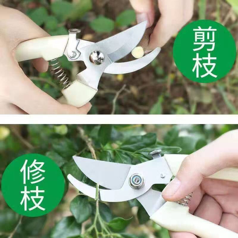 园艺钢省力弯头粗枝剪