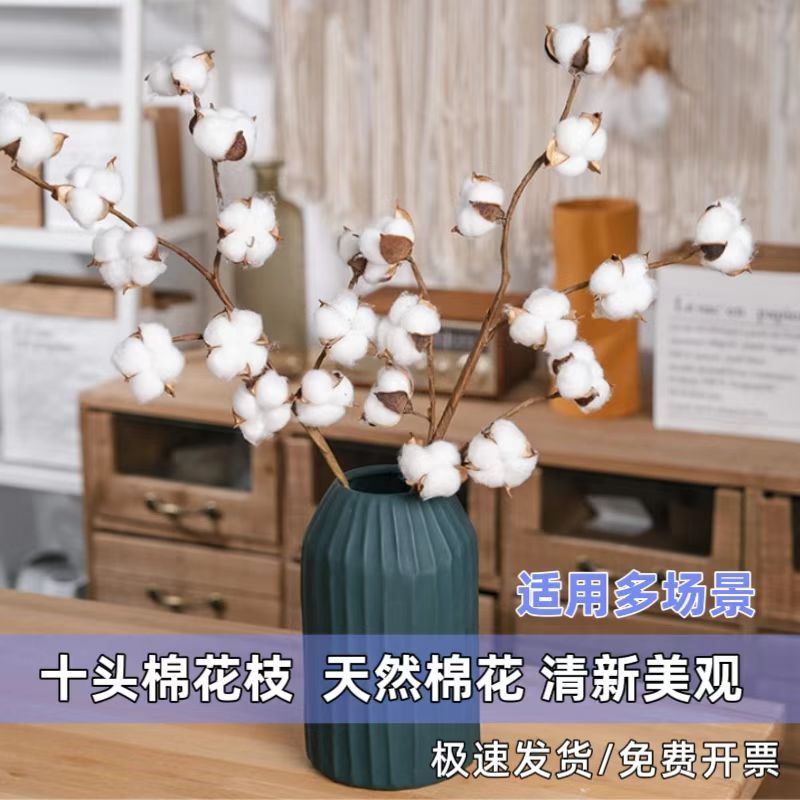 10头天然棉花枝自然干花仿真花家居装饰婚庆插花假花摄影拍照道具